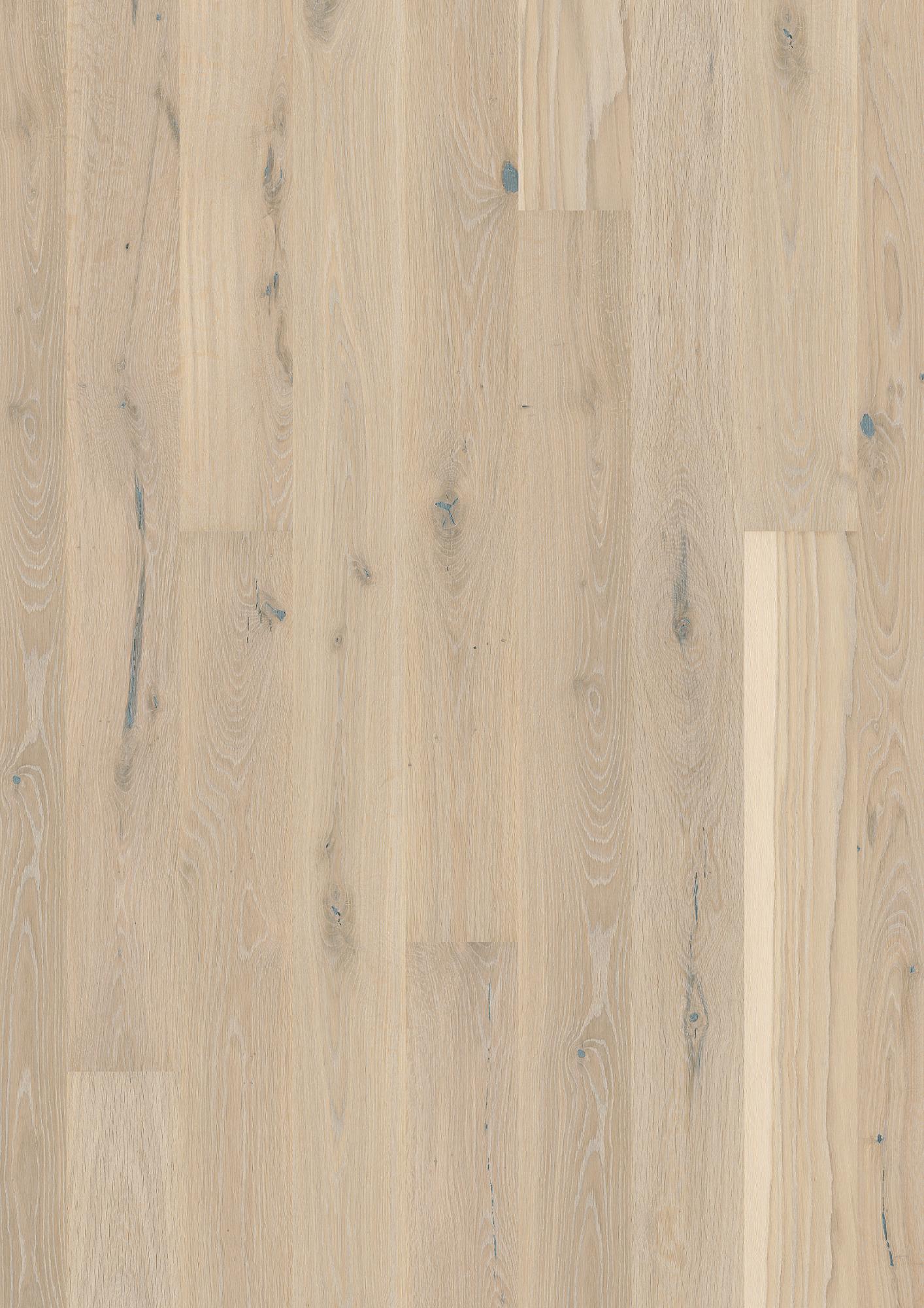 Live Pure 8.25" Engineered Hardwood - Sample 12"