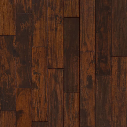 Exotics Collection Acacia - Sample 12"