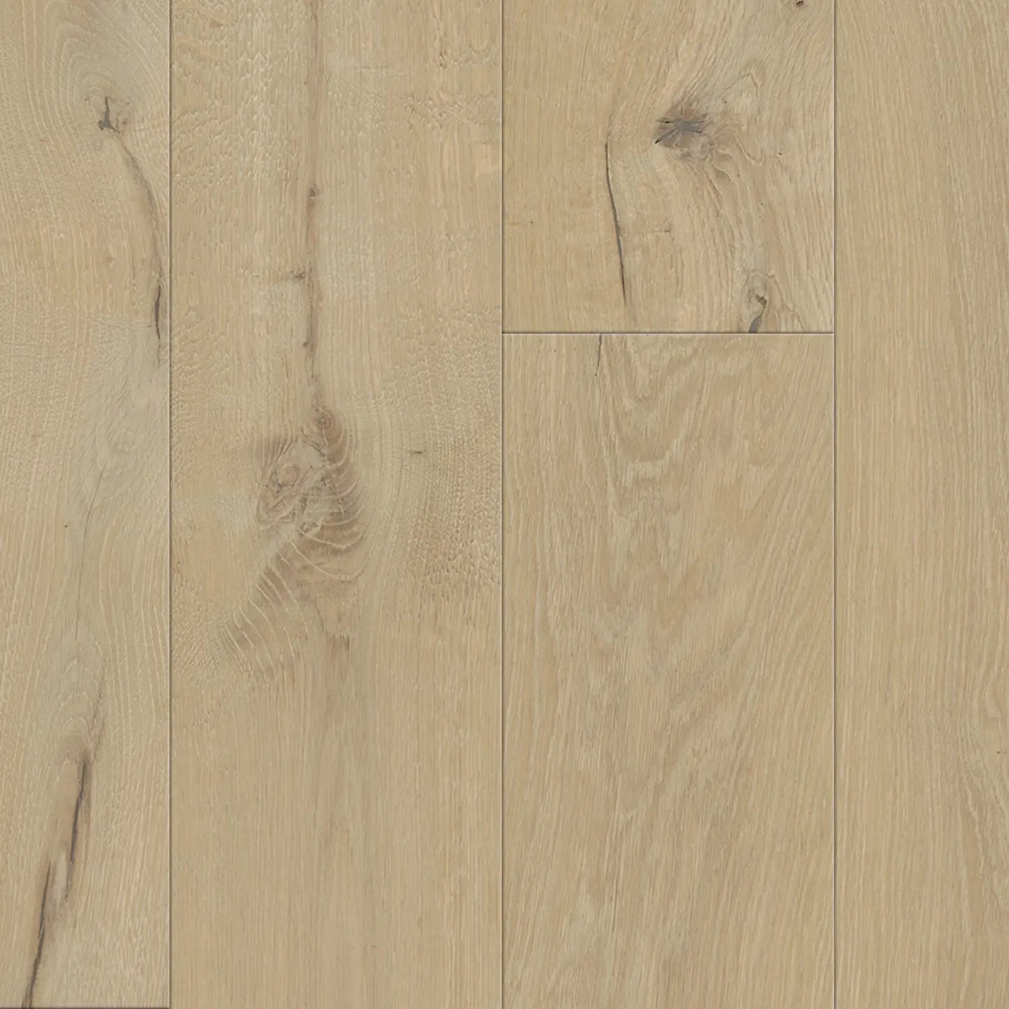 Atelier Collection 9-1/2″