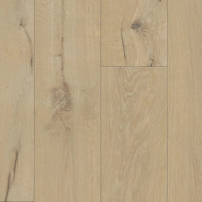 Atelier Collection 9-1/2″