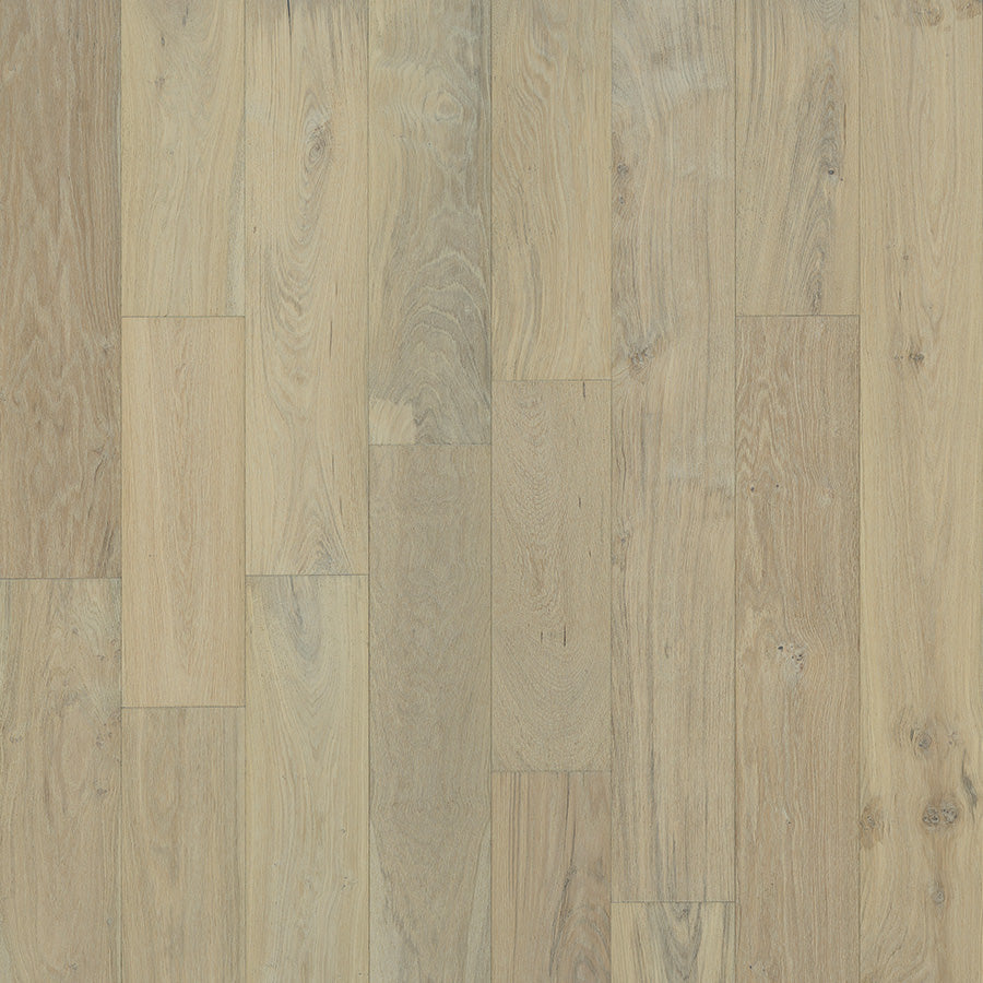 Coastline Collection Sample 12"