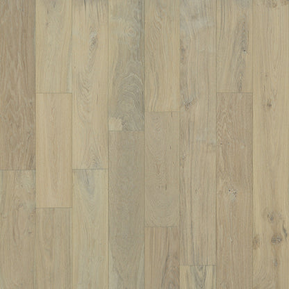 Coastline Collection Sample 12"