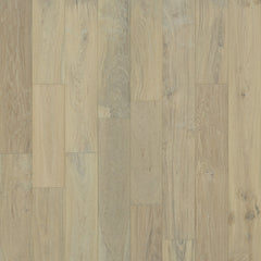 Coastline Collection Sample 12"