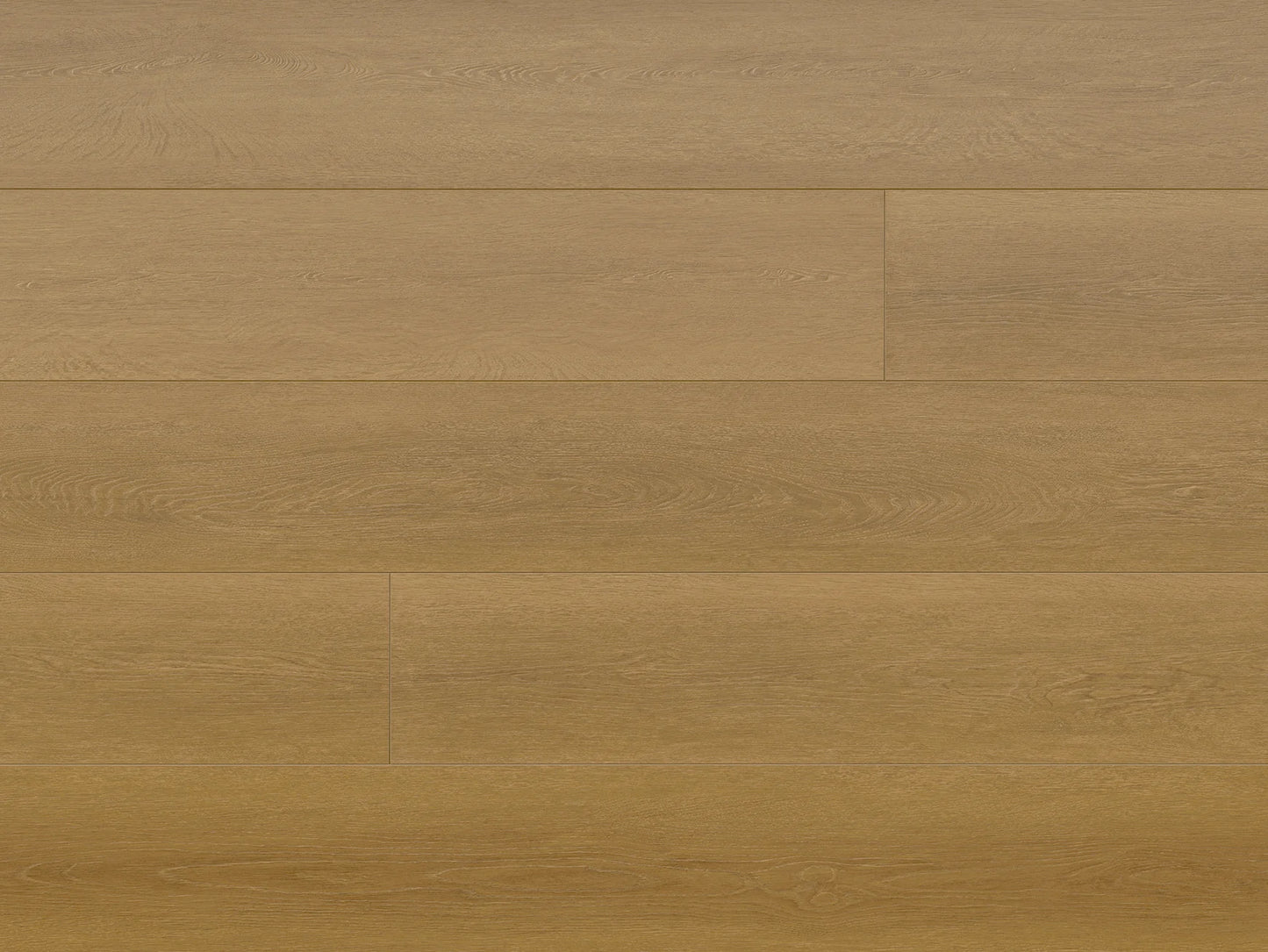 Seaside Collection - Sample 12"