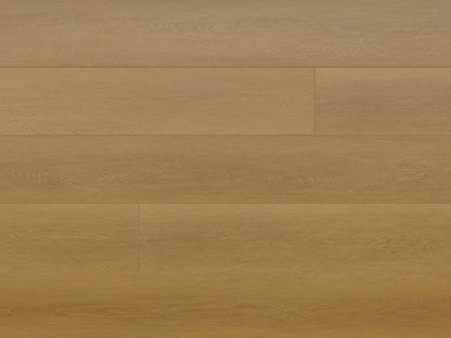 Seaside Collection - Sample 12"