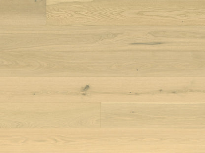 Provence III Collection - Sample 12"