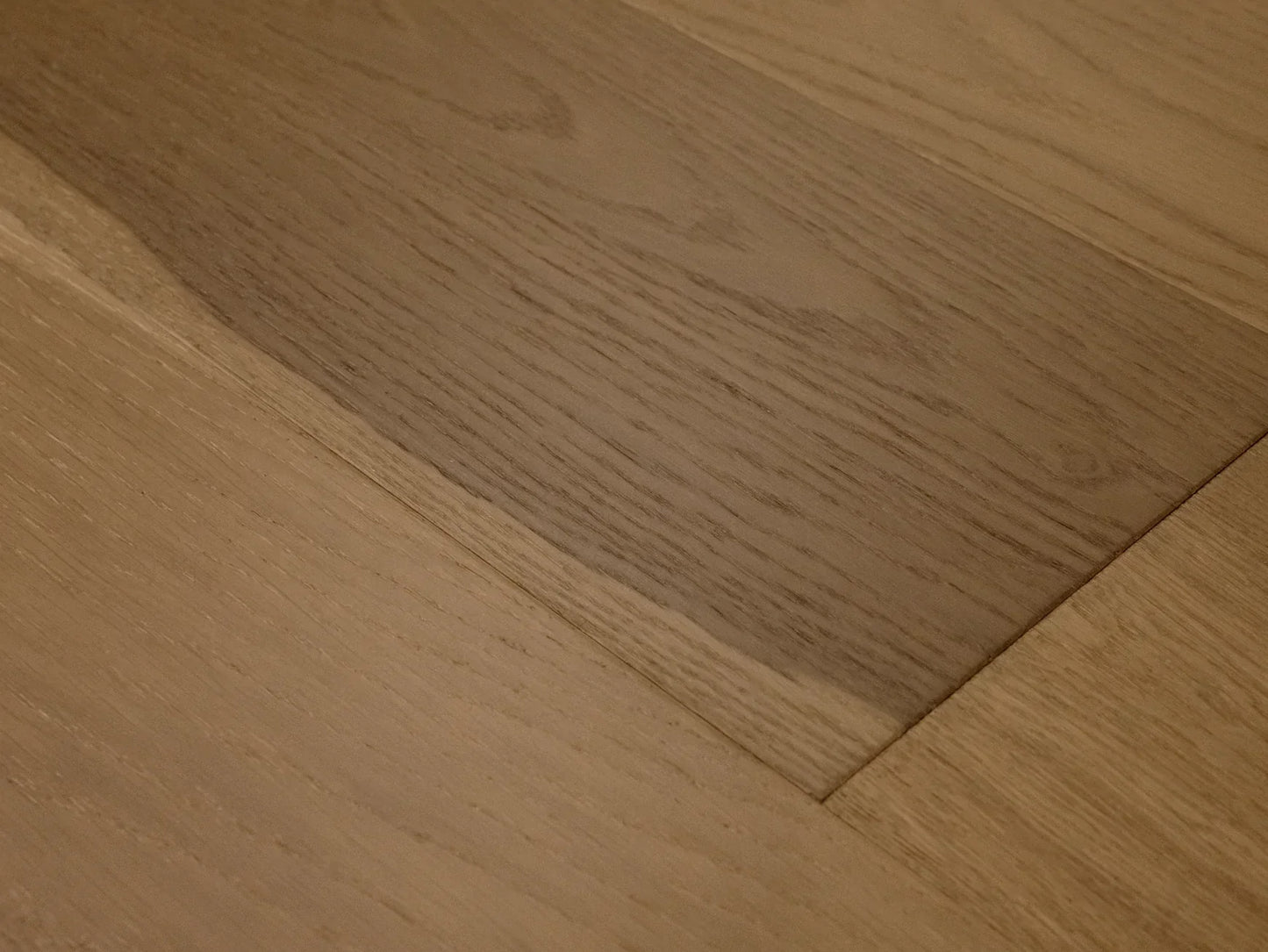 Avalon Collection - Sample 12"