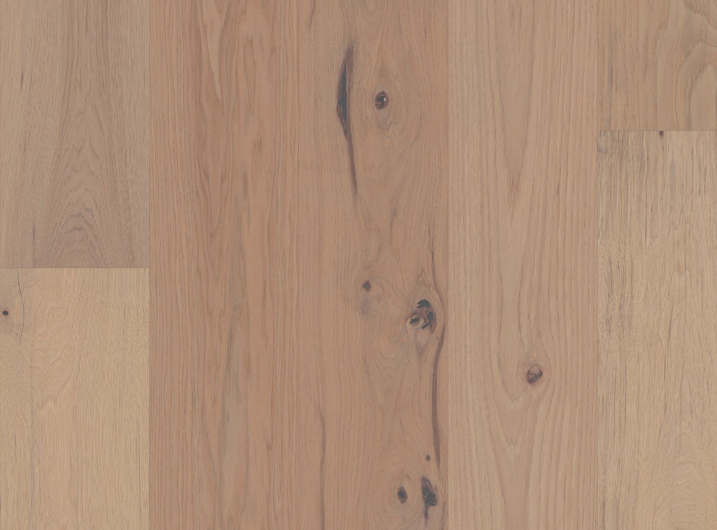 Imperial Pecan - Sample 12"