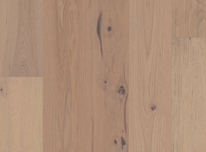 Imperial Pecan - Sample 12"