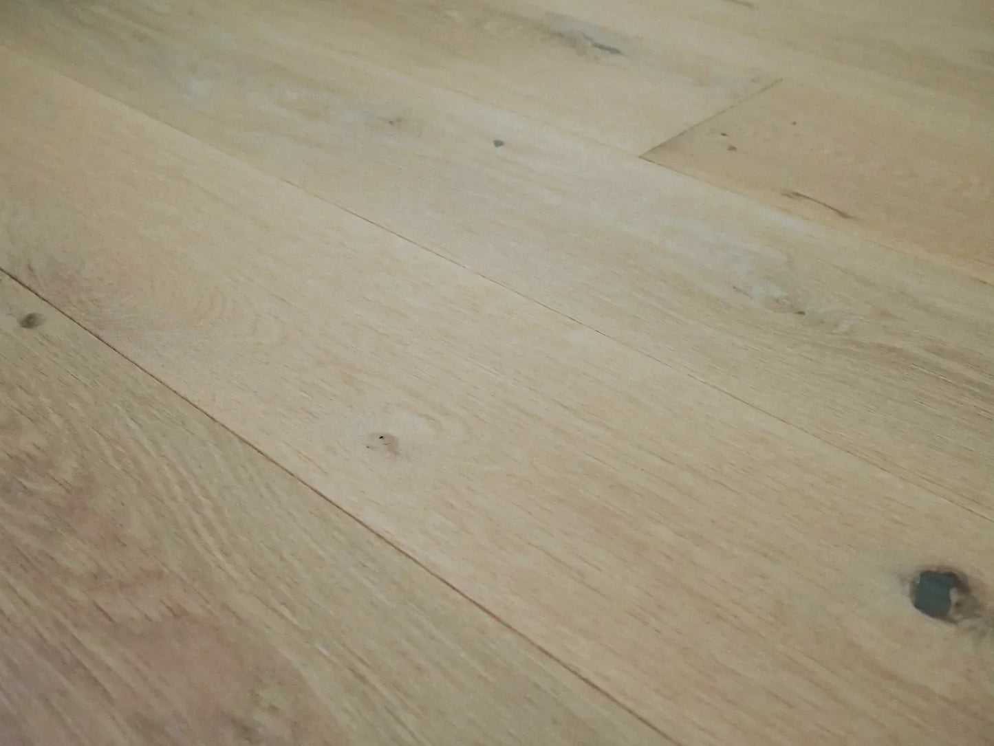Sylvania Collection - Sample 12"