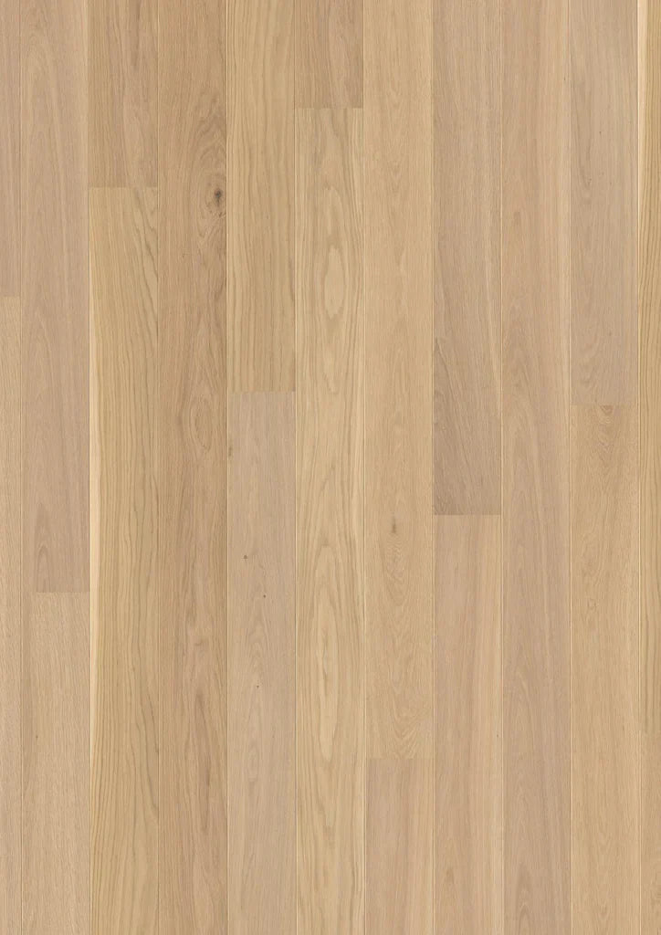 Live Pure 8.25" Engineered Hardwood - Sample 12"