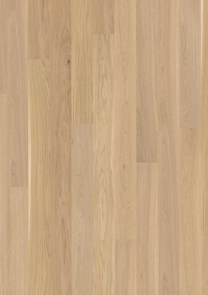 Live Pure 8.25" Engineered Hardwood - Sample 12"