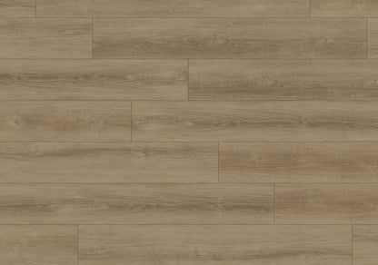 Firmfit Intown Sample 12"