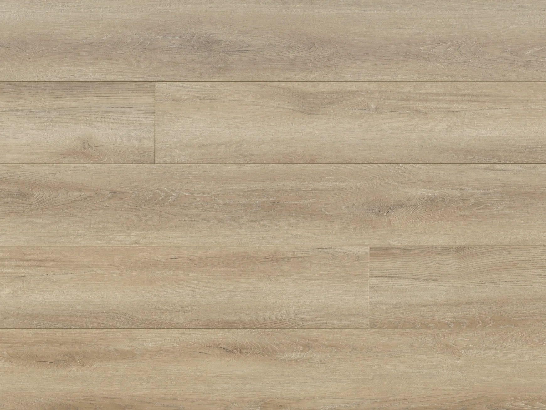 Cape May / 12mm X 9 1/4