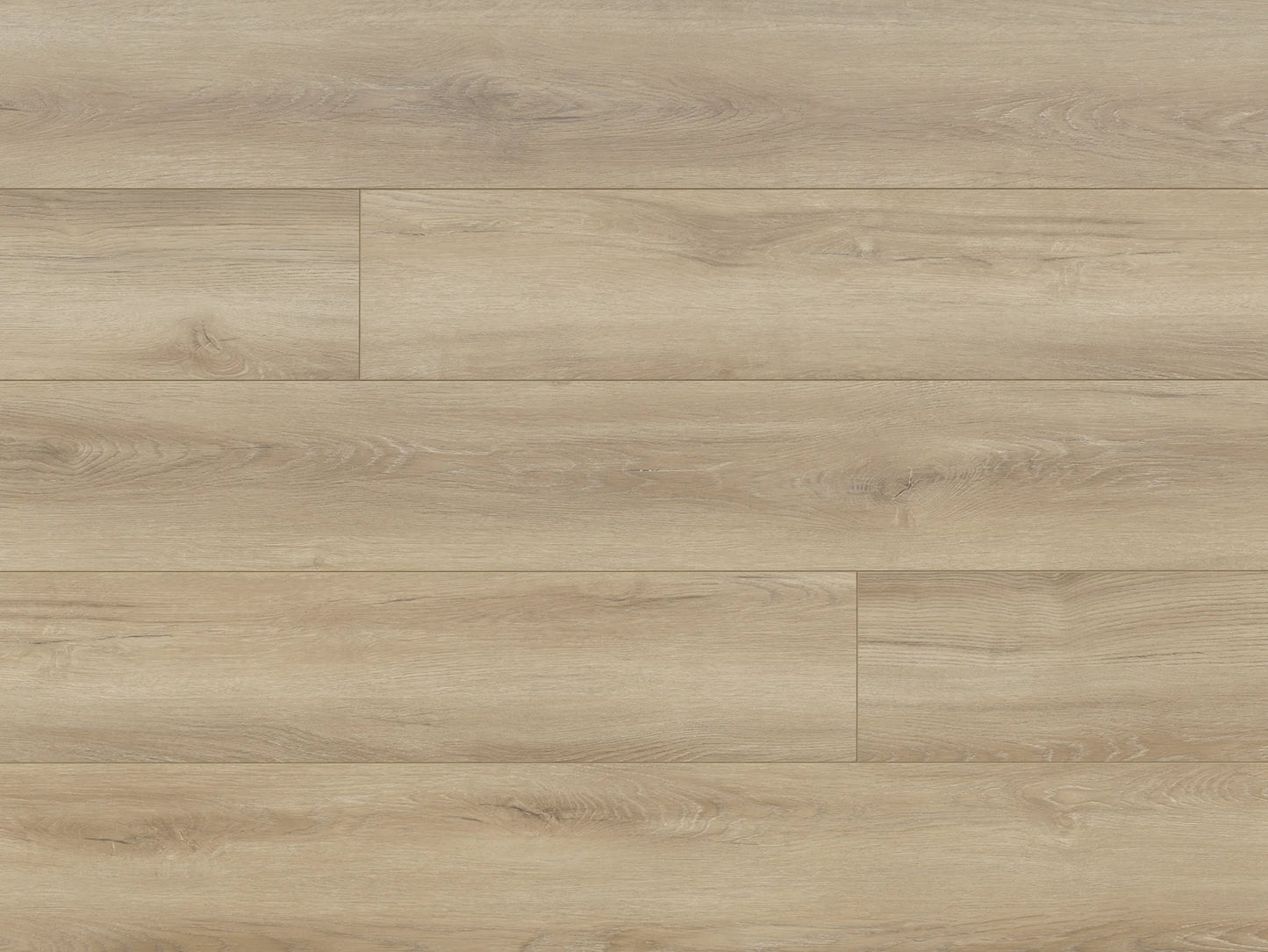 Seaside Collection - Sample 12"