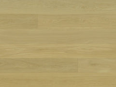 Regent Collection - Sample 12"