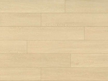 Lakeshore Collection - Sample 12"