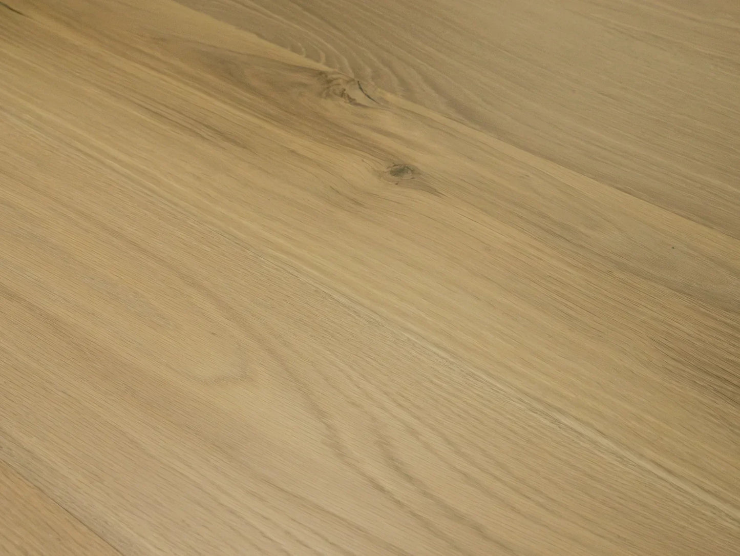 Terreno Collection - Sample 12"