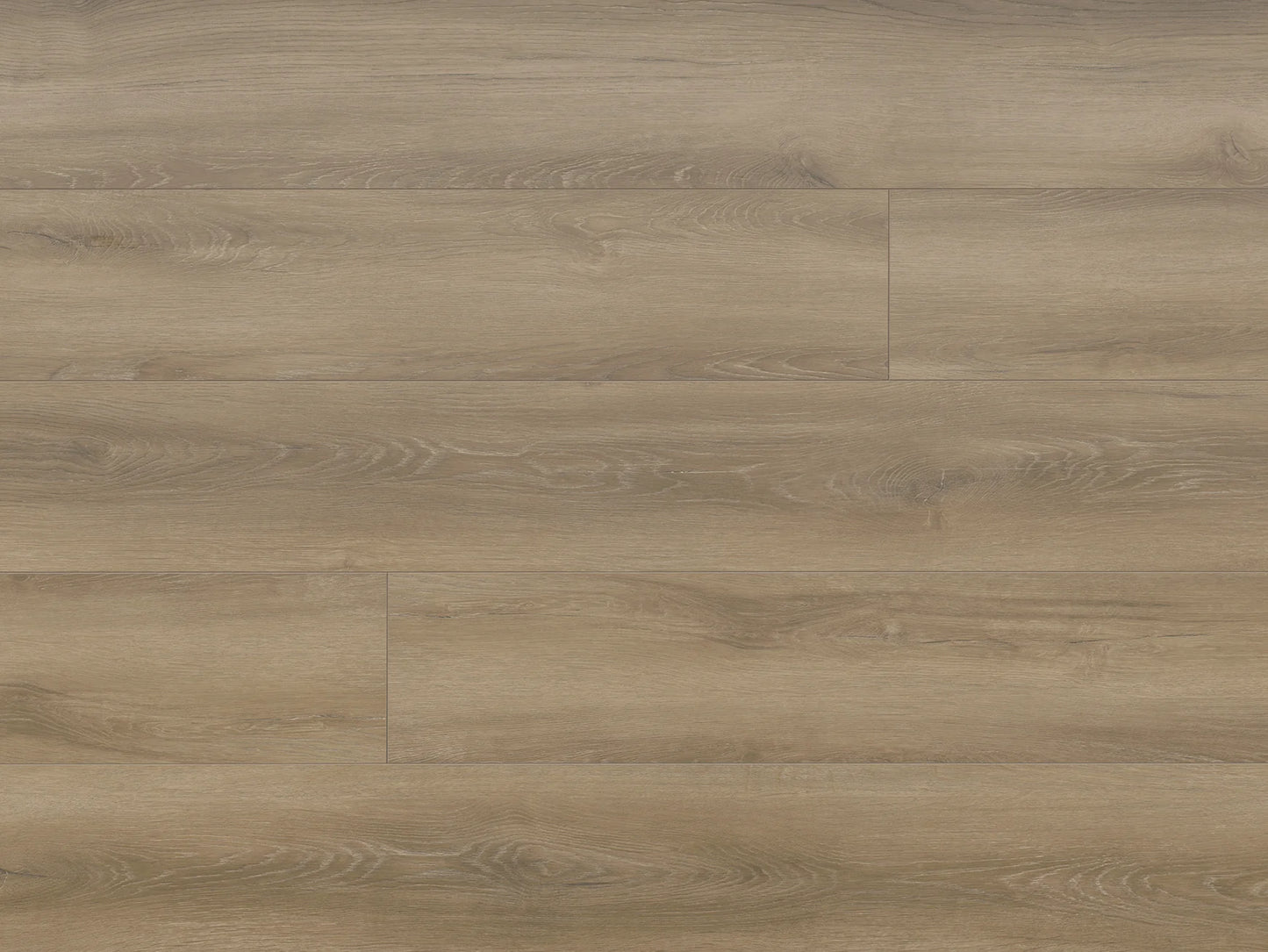 Seaside Collection - Sample 12"