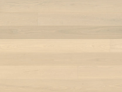 Premio 6 1/2" - Sample 12"