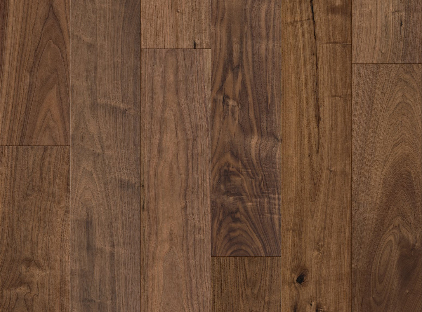 Revival Walnut - Sample 12"