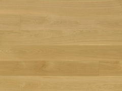 Regent Collection - Sample 12"