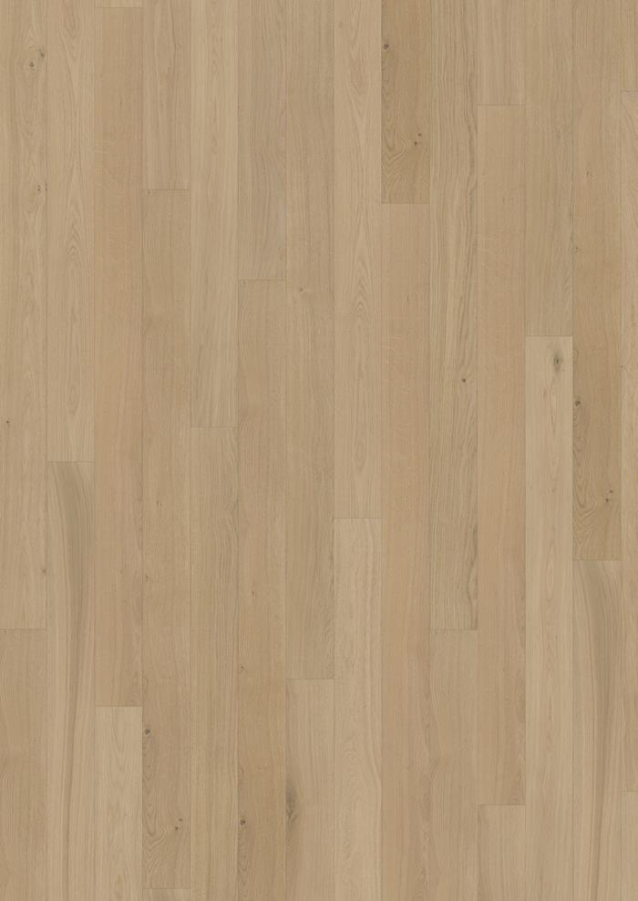 Canvas Collection - Sample 12"