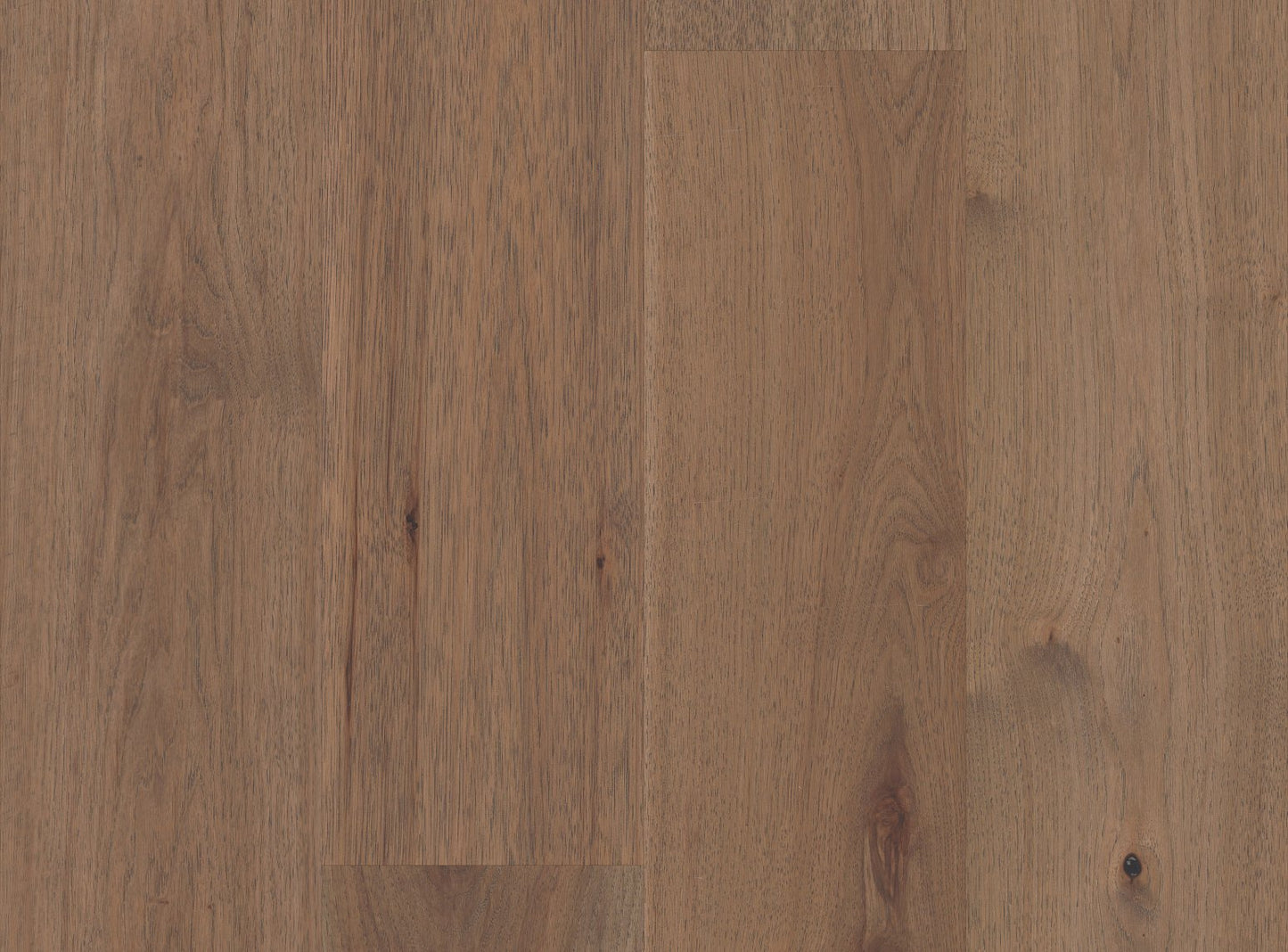 Imperial Pecan - Sample 12"