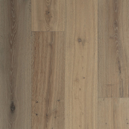 Charleston Collection - Sample 12"
