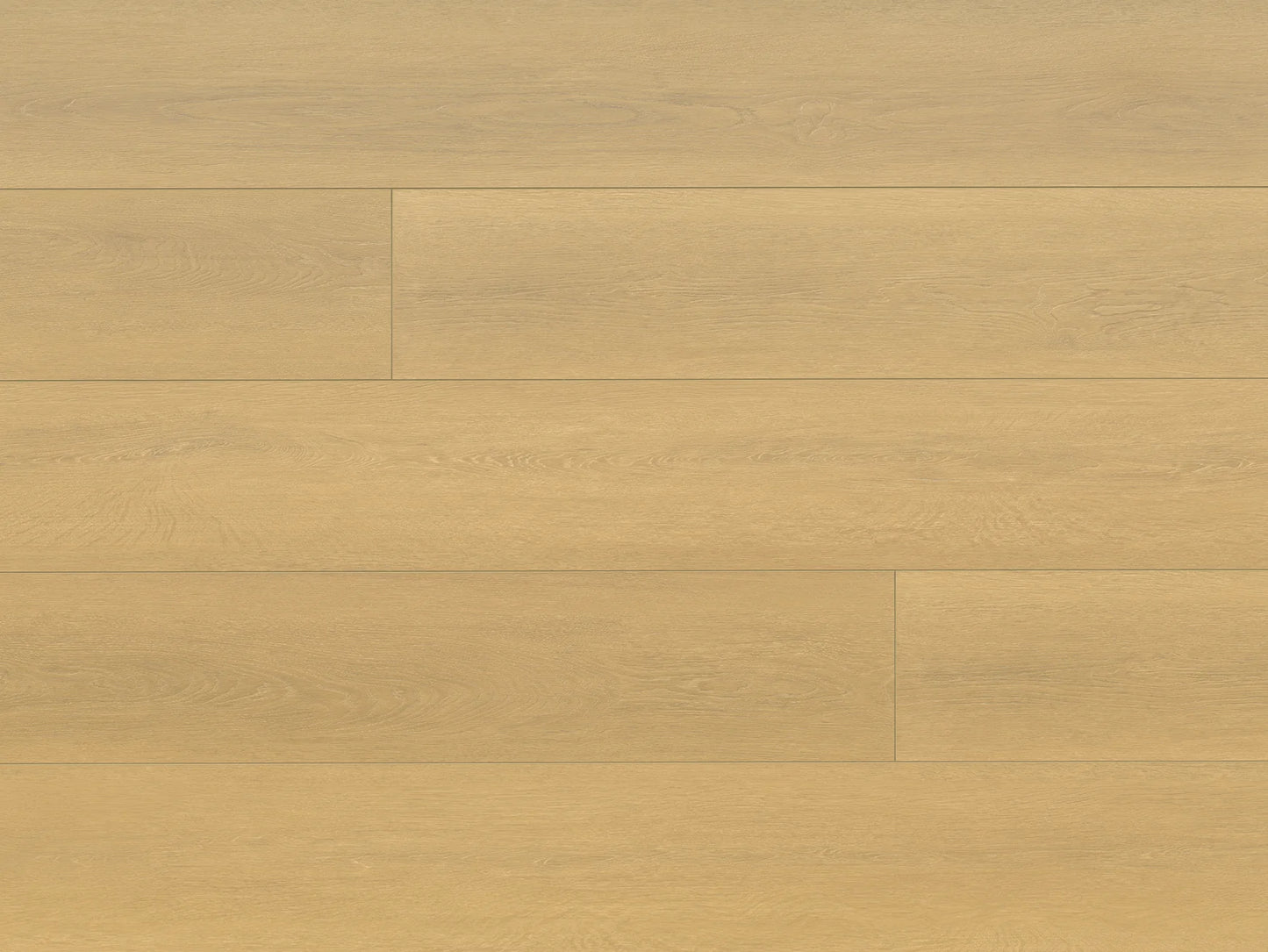 Seaside Collection - Sample 12"