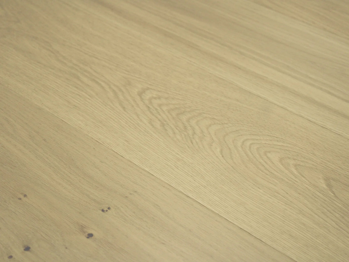 Hokkaido Collection - Sample 12"