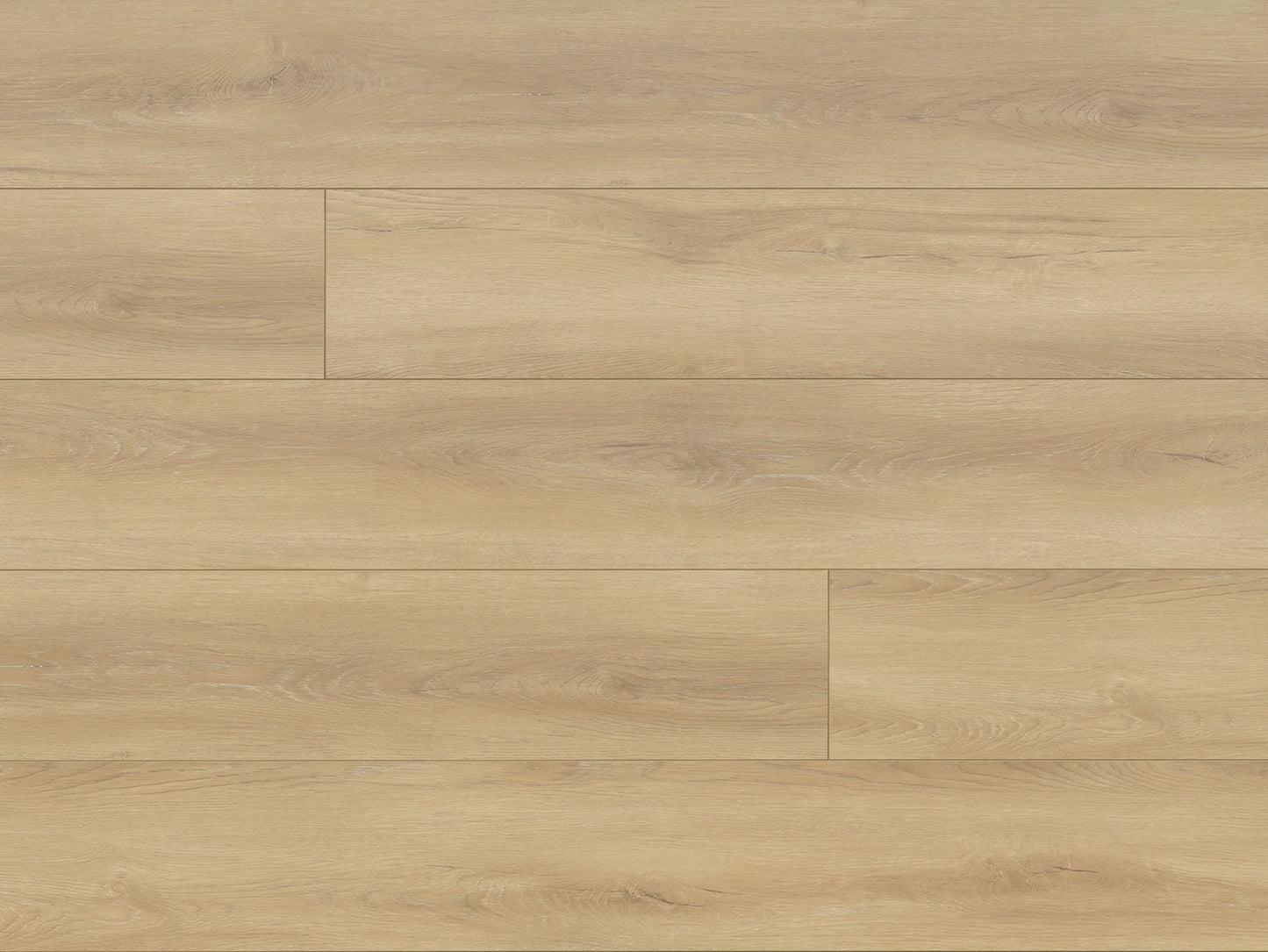 Seaside Collection - Sample 12"