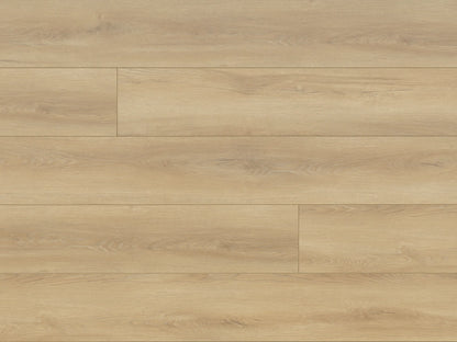 Seaside Collection - Sample 12"