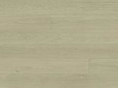 Regent Collection