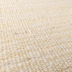 Iantha Jute Rug