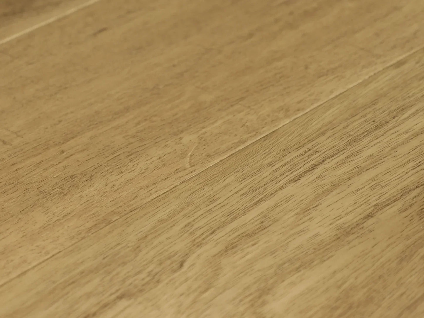Castillo Collection - Sample 12"