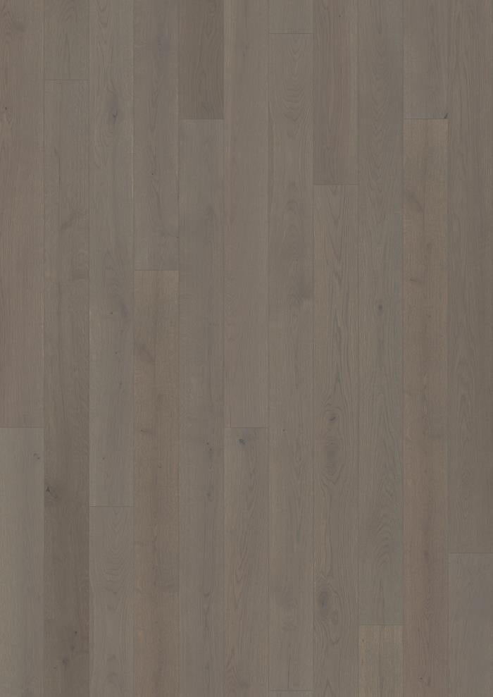 Canvas Collection - Sample 12"