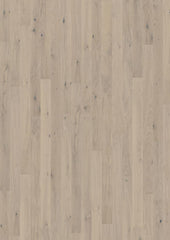 Canvas Collection - Sample 12"