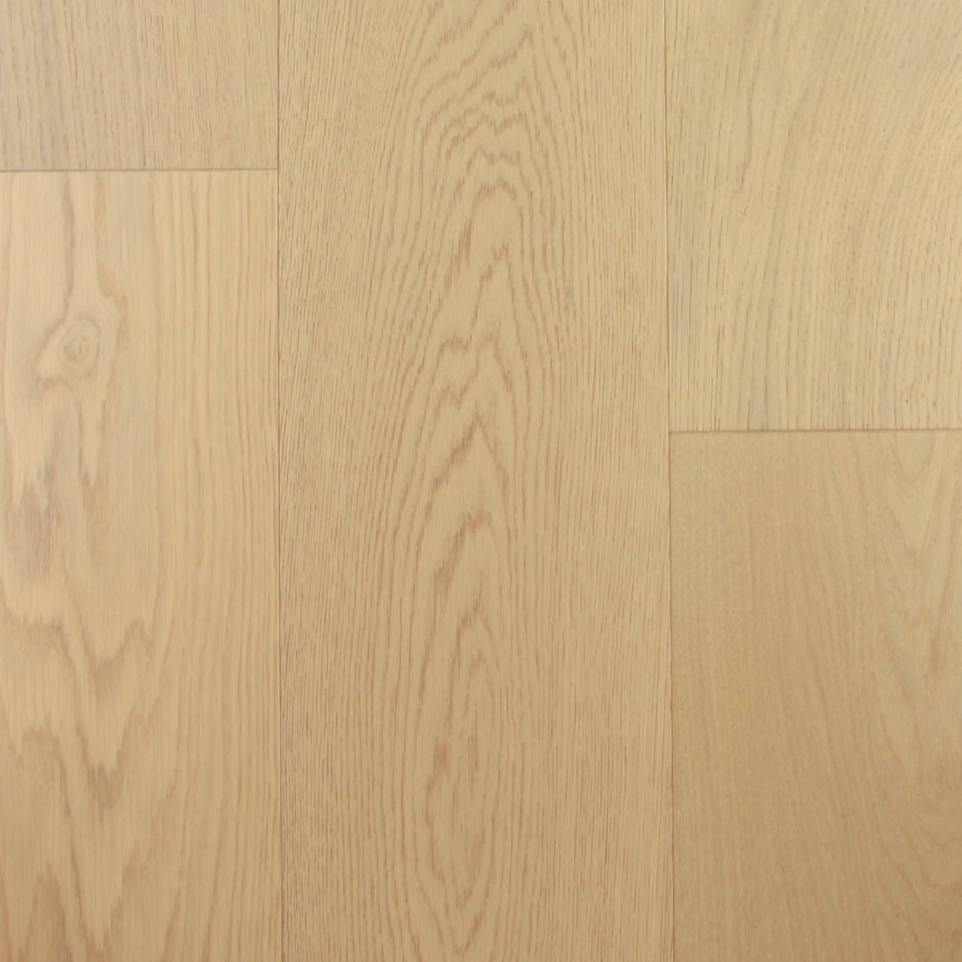 Augustine Willows Collection