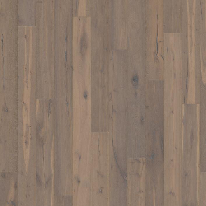 Founders Collection Sample 12"