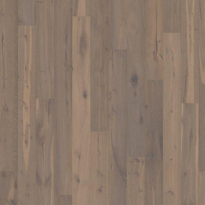 Founders Collection Sample 12"