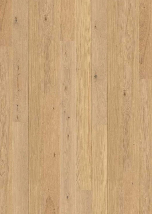 Norwegian Select - Sample 12"