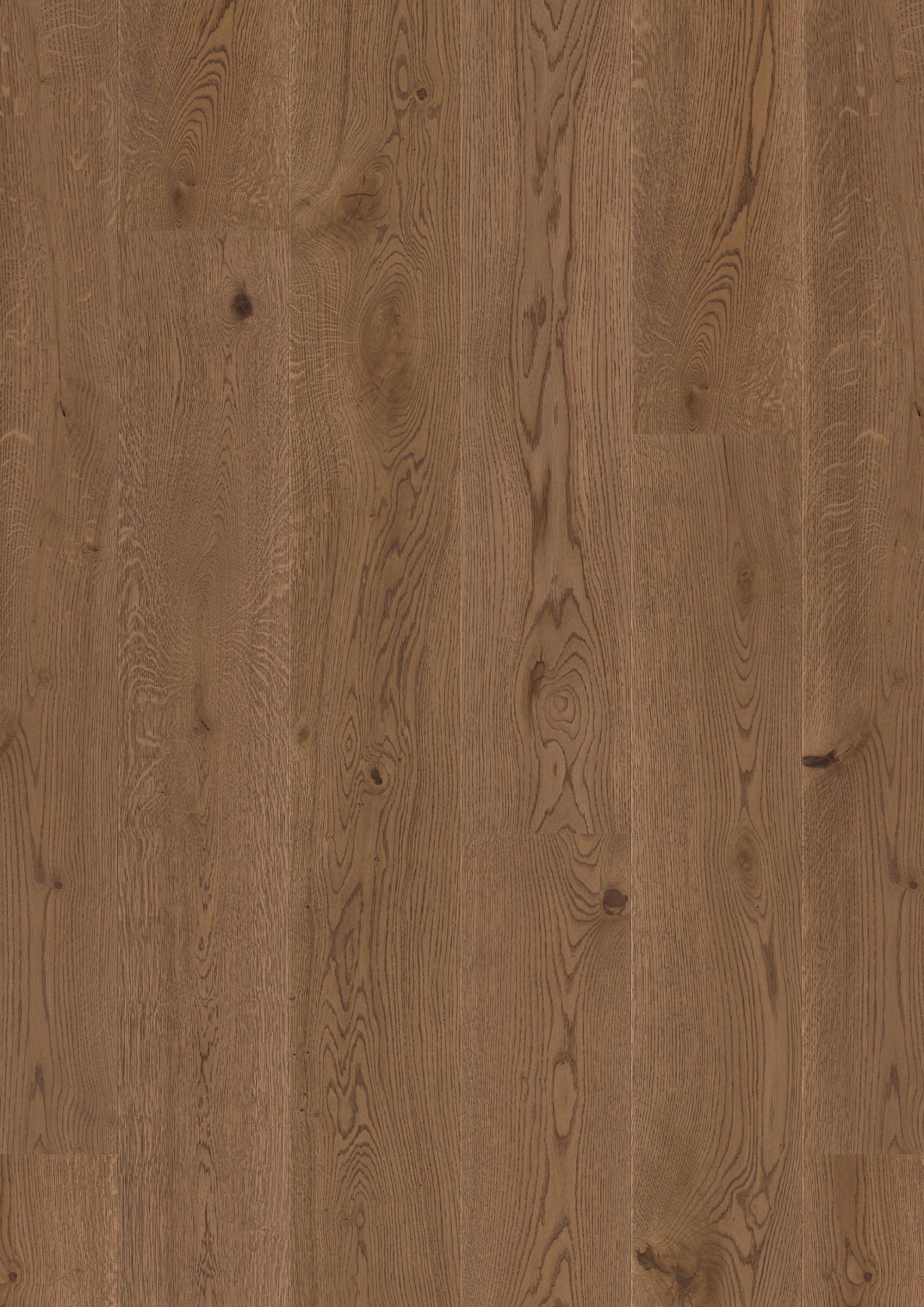 Live Pure 8.25" Engineered Hardwood - Sample 12"