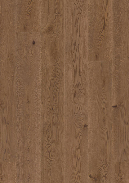 Live Pure 8.25" Engineered Hardwood - Sample 12"