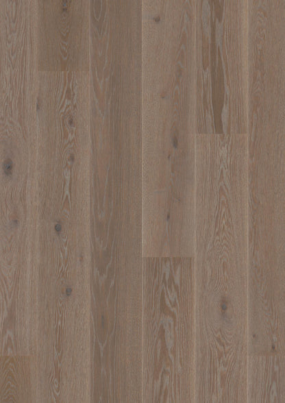 Live Pure 8.25" Engineered Hardwood - Sample 12"