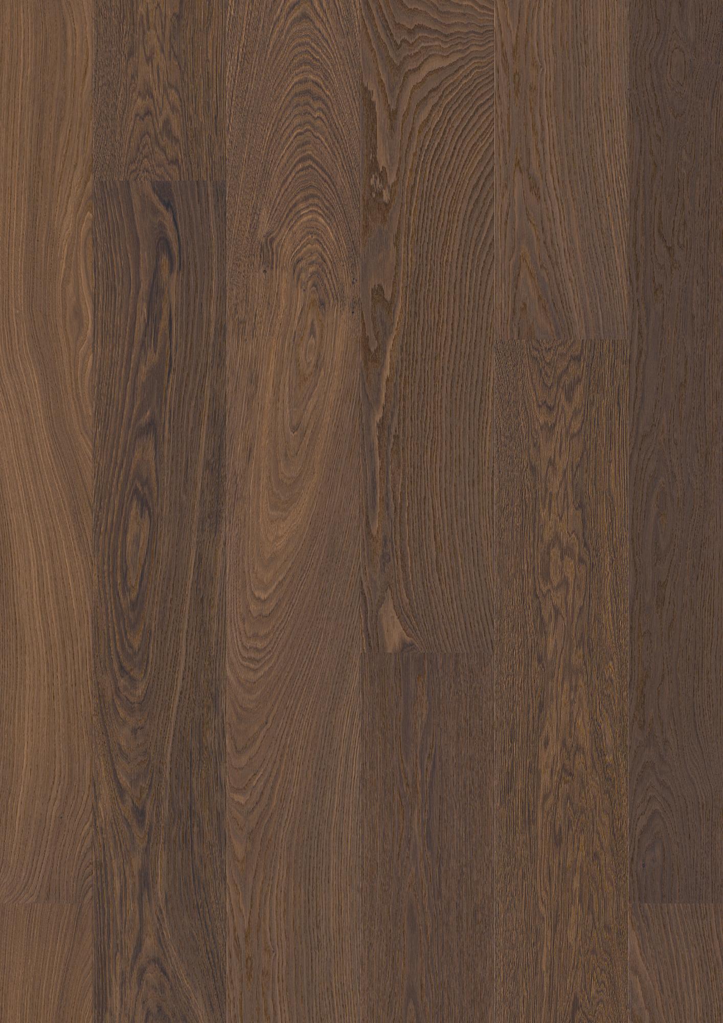 Live Pure 8.25" Engineered Hardwood - Sample 12"