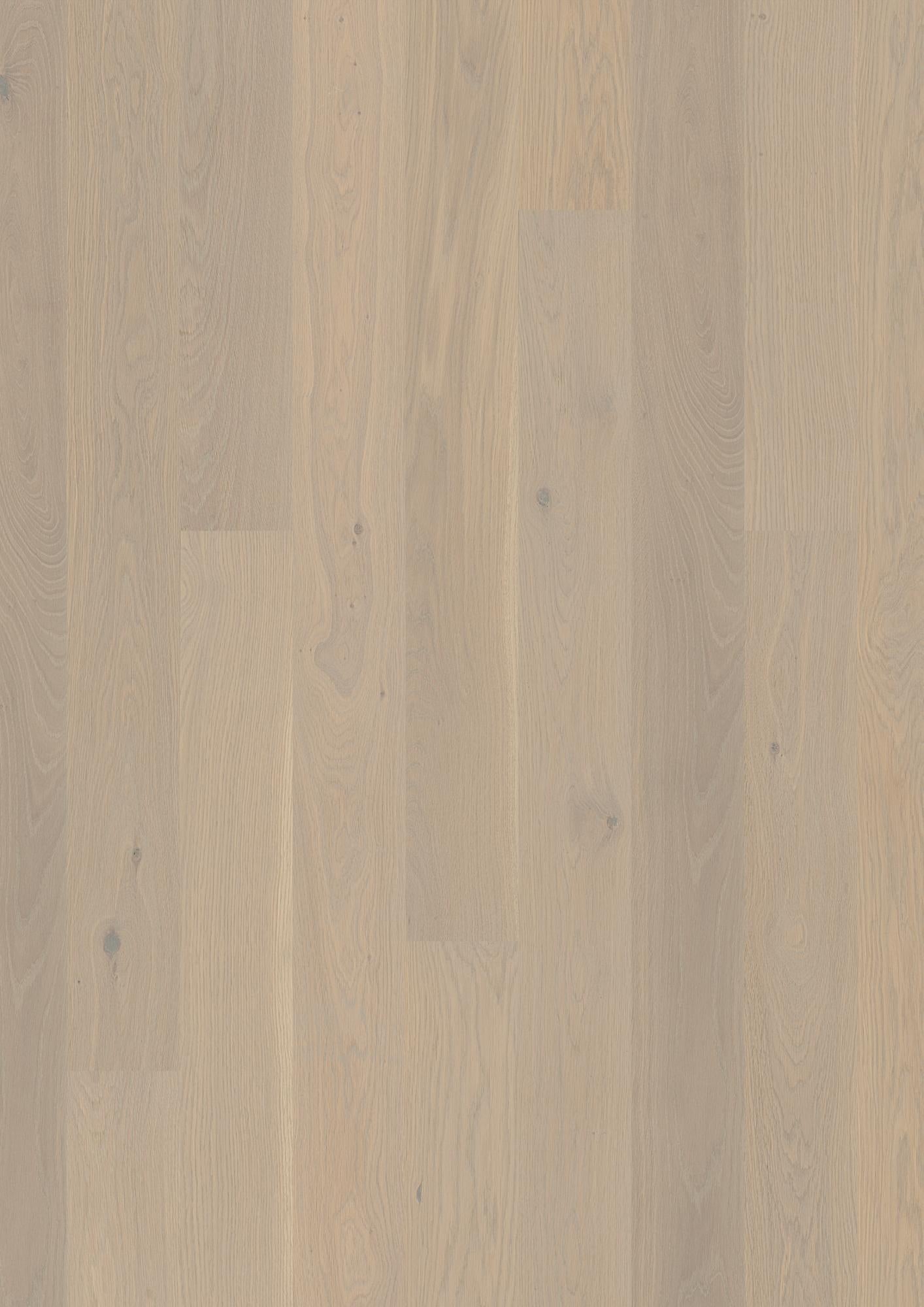 Live Pure 8.25" Engineered Hardwood - Sample 12"