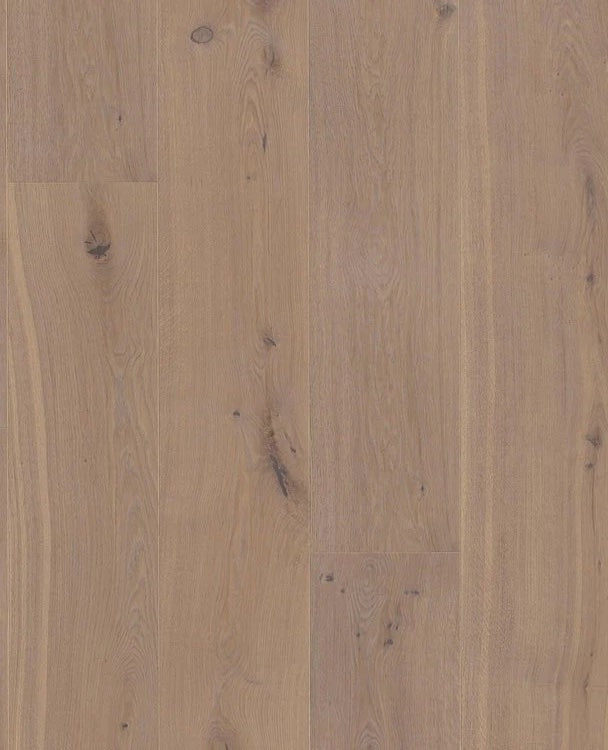 Live Pure 8.25" Engineered Hardwood - Sample 12"