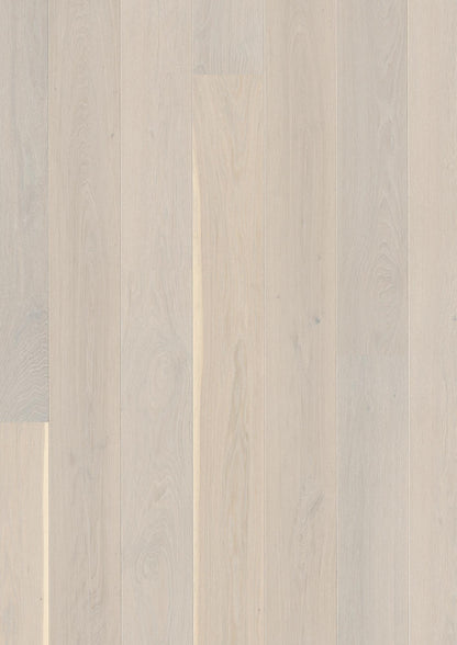 Live Pure 8.25" Engineered Hardwood - Sample 12"