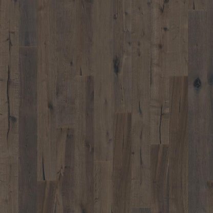 Founders Collection Sample 12"